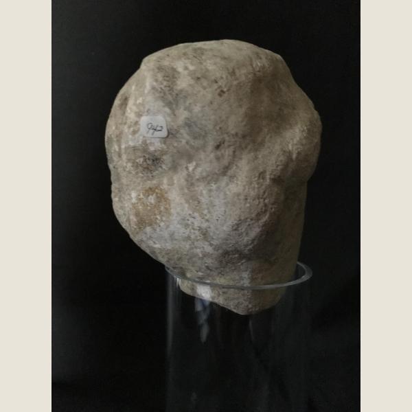 Ancient Greek Cypriot Limestone Head