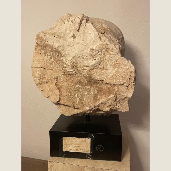 Ancient Parthian or Early Sassanian Head